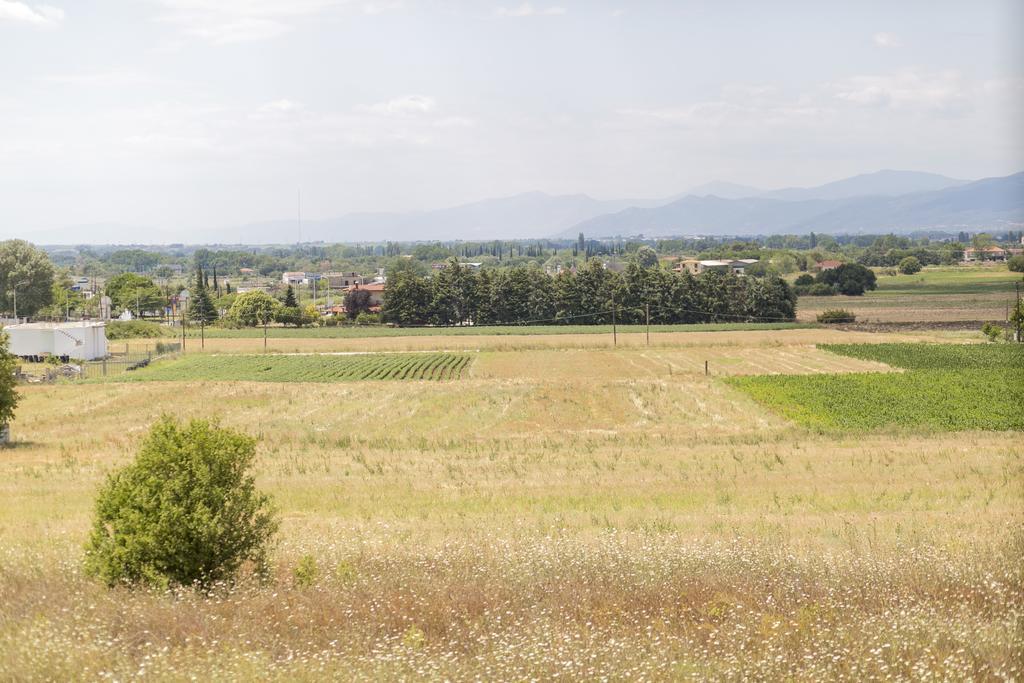 Casagreek Komotini Panzió Kültér fotó